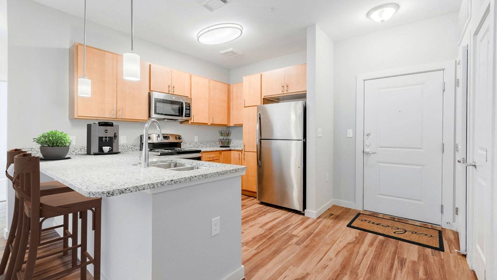 Apartment Kitchen Dominium_Briar Park_Example Model Apartment Kitchen